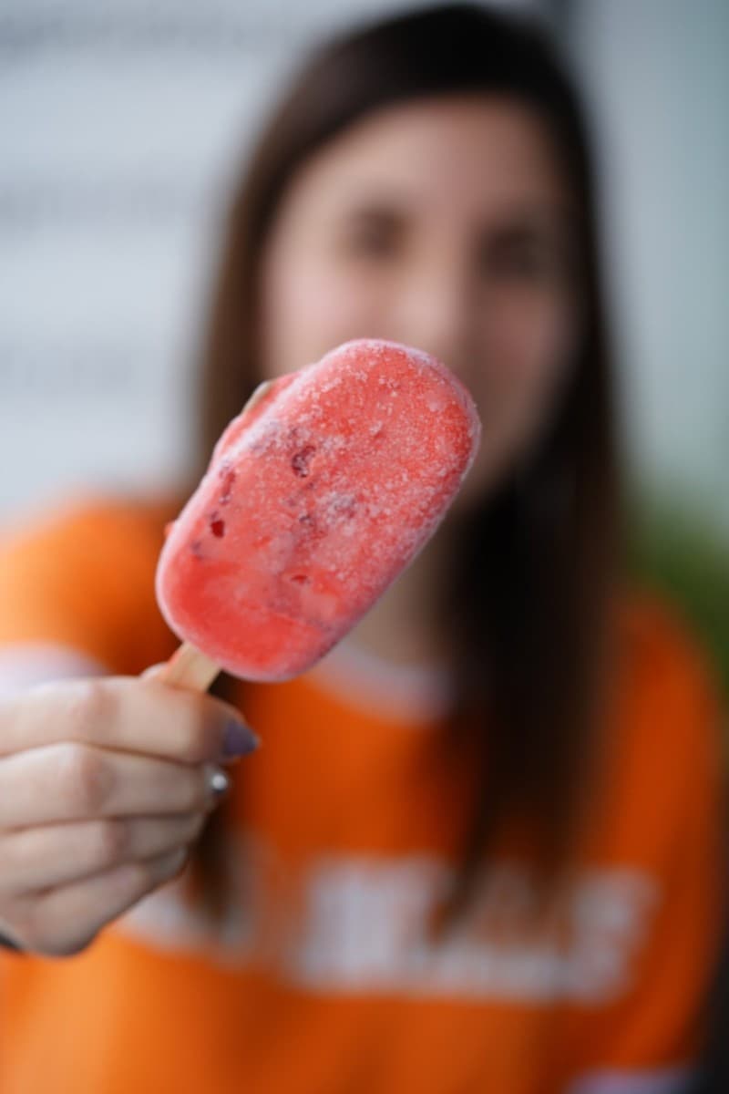 The Keto Strawberry Ice Cream (2 net carbs)